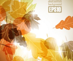Autumn theme backgrounds art vector 04