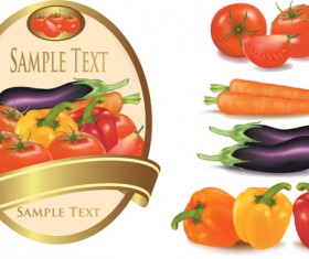 Elements of Salad mix vector graphic 01