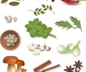 Set of Different Spice design vector 01