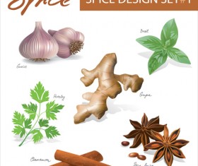 Set of Different Spice design vector 02