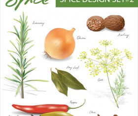 Set of Different Spice design vector 03