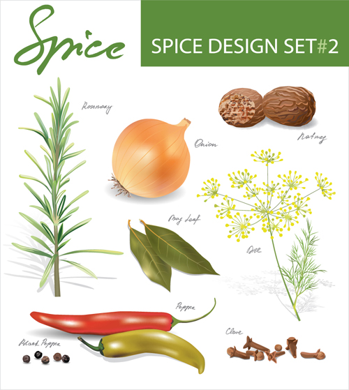 Set of Different Spice design vector 03