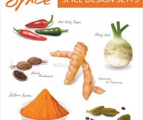Set of Different Spice design vector 04
