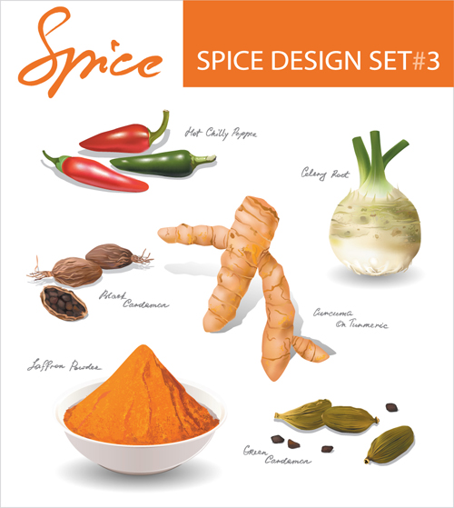 Set of Different Spice design vector 04