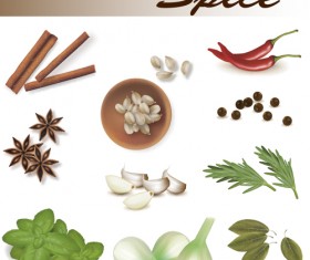 Set of Different Spice design vector 05