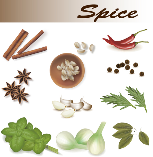 Set of Different Spice design vector 05