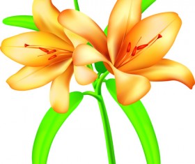 Vector Background with flowers design elements 05