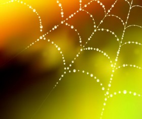Elements of dew and spider web vector 01