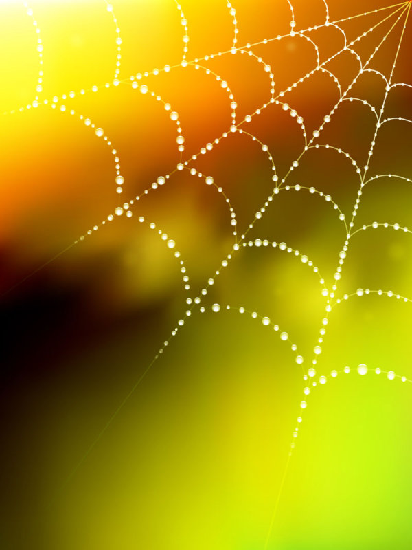 Elements of dew and spider web vector 01