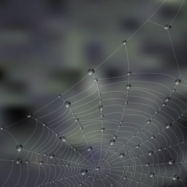 Elements of dew and spider web vector 03