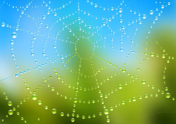 Elements of dew and spider web vector 05