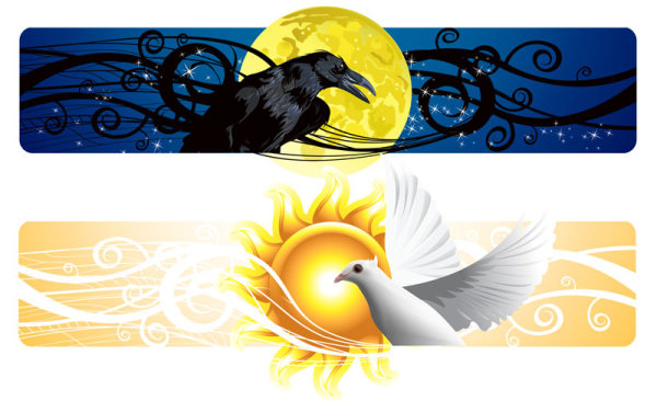 Abstract banner with Birds vector
