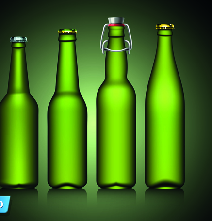 Different Beer bottle design elements vector 03