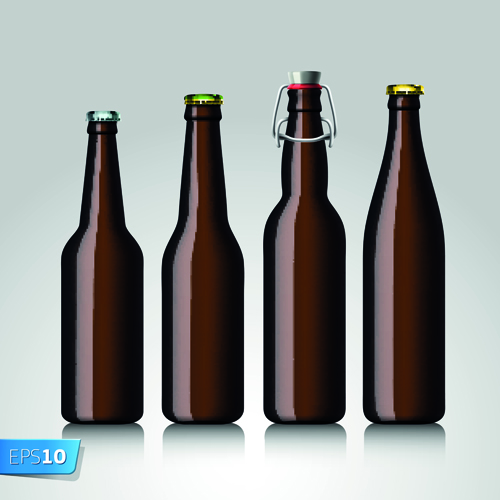 Different Beer bottle design elements vector 04