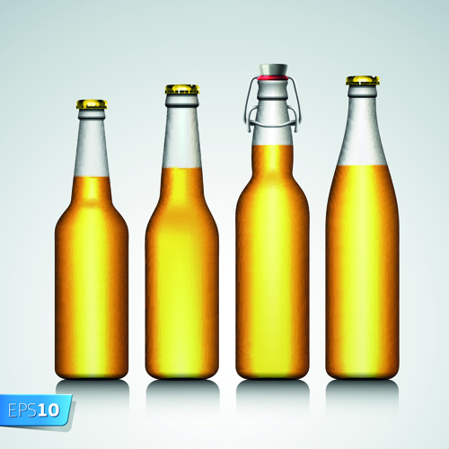 Different Beer bottle design elements vector 05