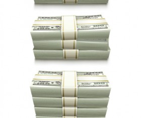 Set of Dollars in bundles design vector 01