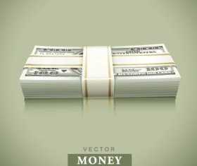 Set of Dollars in bundles design vector 02