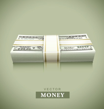 Set of Dollars in bundles design vector 02