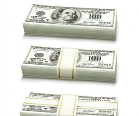 Set of Dollars in bundles design vector 03