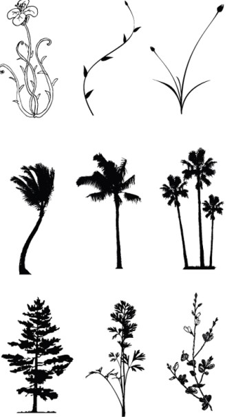 Drawing tree and flower vector