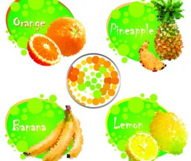 Different Juice Labels design vector 01