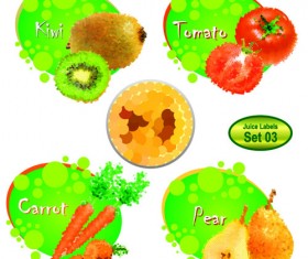 Different Juice Labels design vector 03