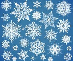 Different Snowflake elements vector graphics 01