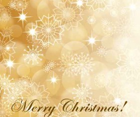 Christmas Snowflakes patterns design vector 02