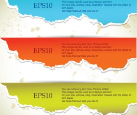 Set of Torn paper banner vector 05