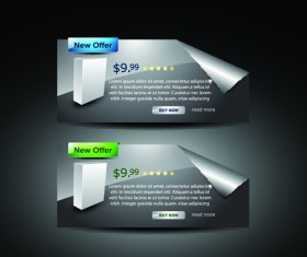 Web design Stylish Banner vector graphic 03