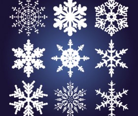 Different Snowflake pattern mix vector graphics 01