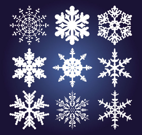 Different Snowflake pattern mix vector graphics 01