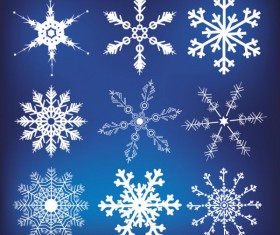 Different Snowflake pattern mix vector graphics 03