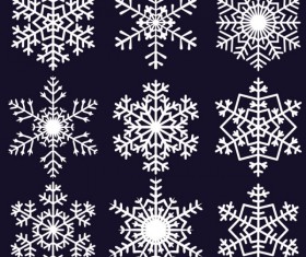 Different Snowflake pattern mix vector graphics 04