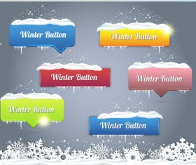 Creative winter web button vector