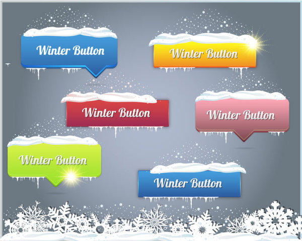 Creative winter web button vector