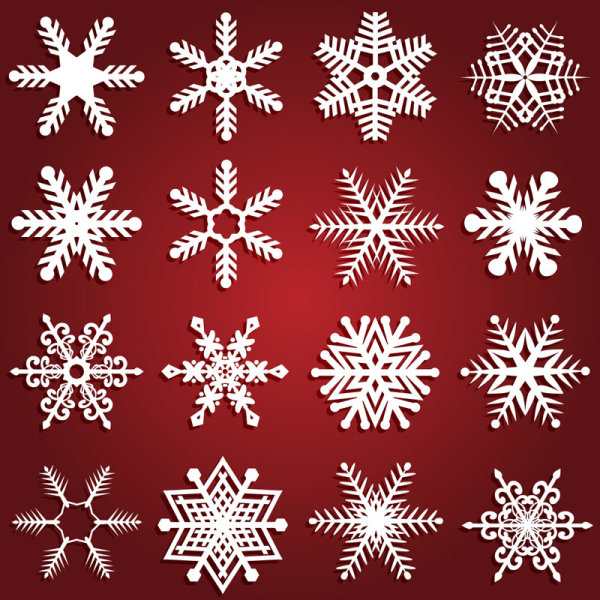 Different Snowflake patterns design elements vector 04