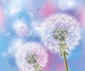 Dandelion design elements vector