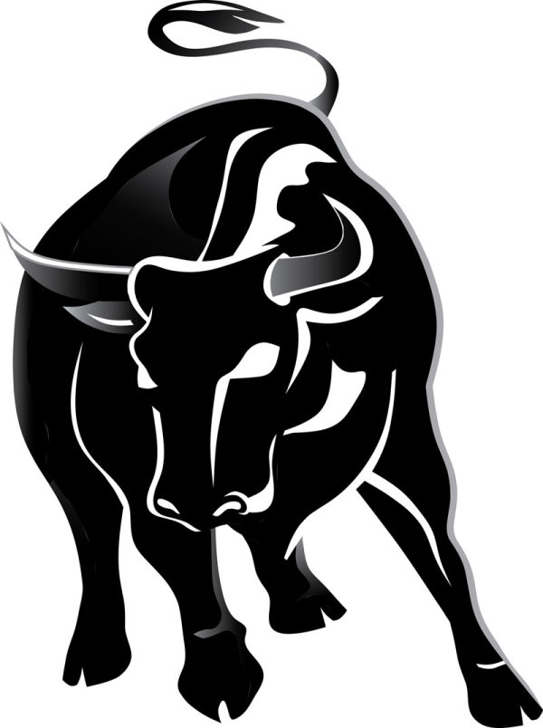 Set of angry bulls design vector 04