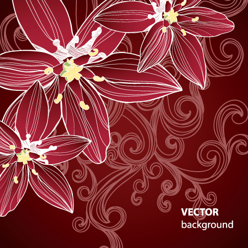 Set of Drawing Flower Vector Backgrounds vector 01