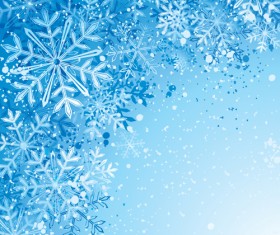Winter Snowflake backgrounds art design vector 05