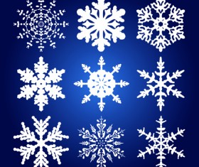 Different Snowflakes mix design vector material 01