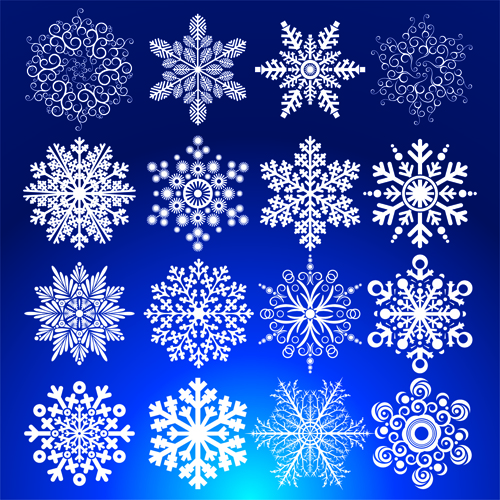Different Snowflakes mix design vector material 02