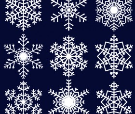 Different Snowflakes mix design vector material 04