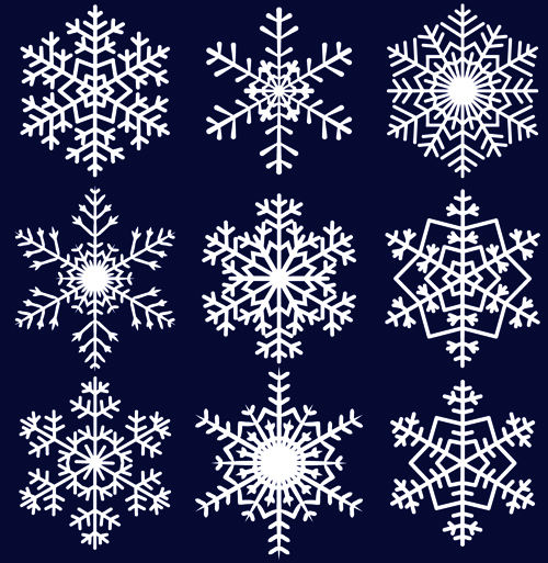 Different Snowflakes mix design vector material 04