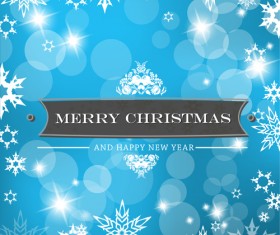 Shiny Xmas Winter Snowflake background vector 05