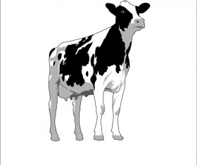 Different Dairy cow design vector graphics 04