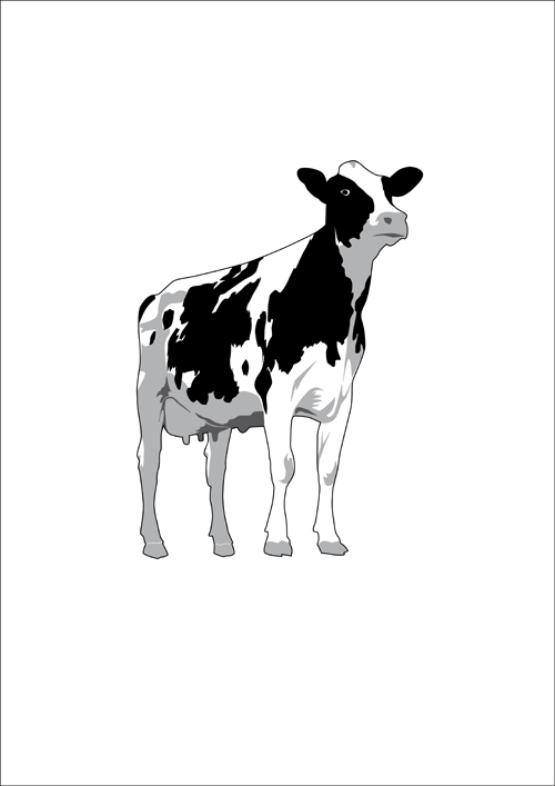Different Dairy cow design vector graphics 04