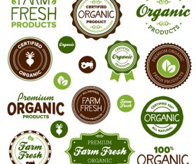 Go green Eco and Bio labels with Stickers vector 04