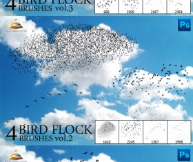 Bird flock Brushes